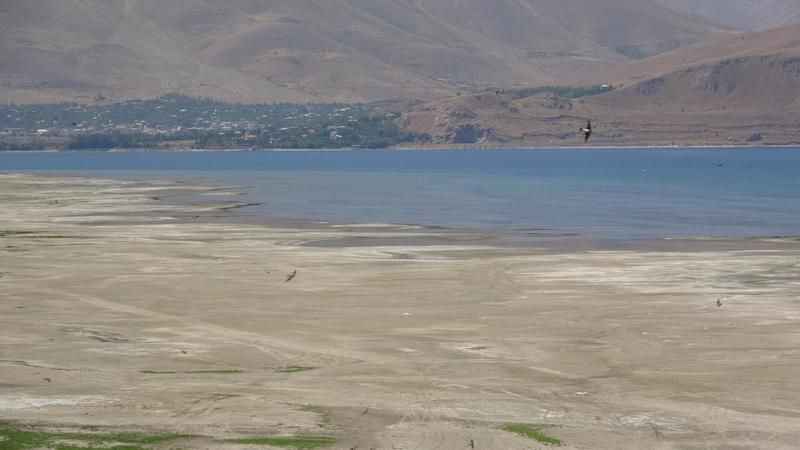 Van Gölü'ndeki iyileşme kısa sürdü